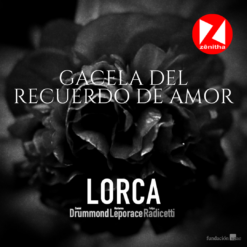 Gacela del recuerdo de amor