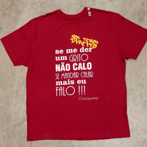 ilustraçao IDI-Camiseta frase Gonzaguinha